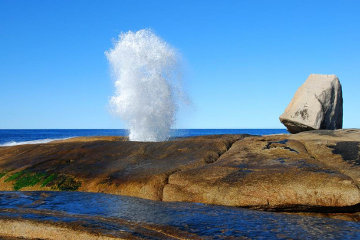 Serendipity means finding a blowhole when you least expect it!