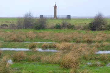 Edward I died in a suitably desolate spot alone in the midst of his host*