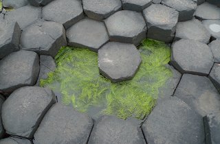 A pool in the hexagonal pillars of the Giant's Causeway*