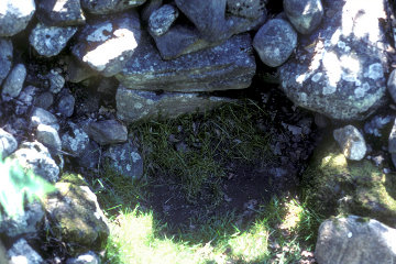 The Glenmoriston footprints in 2010