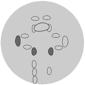 Diagram of the stones*