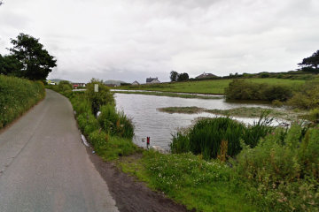 Gwaenysgor pond in the summer*