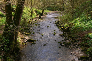 The stream running through Loggerheads disappears underground!*