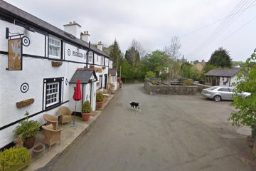 Even the dog comes out to investigate the rare visitors*